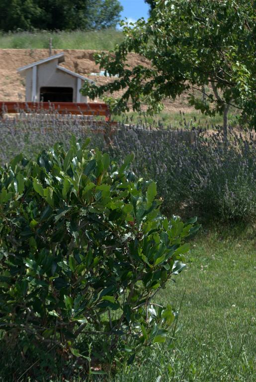 Bed & Breakfast La Cerasa Fabriano