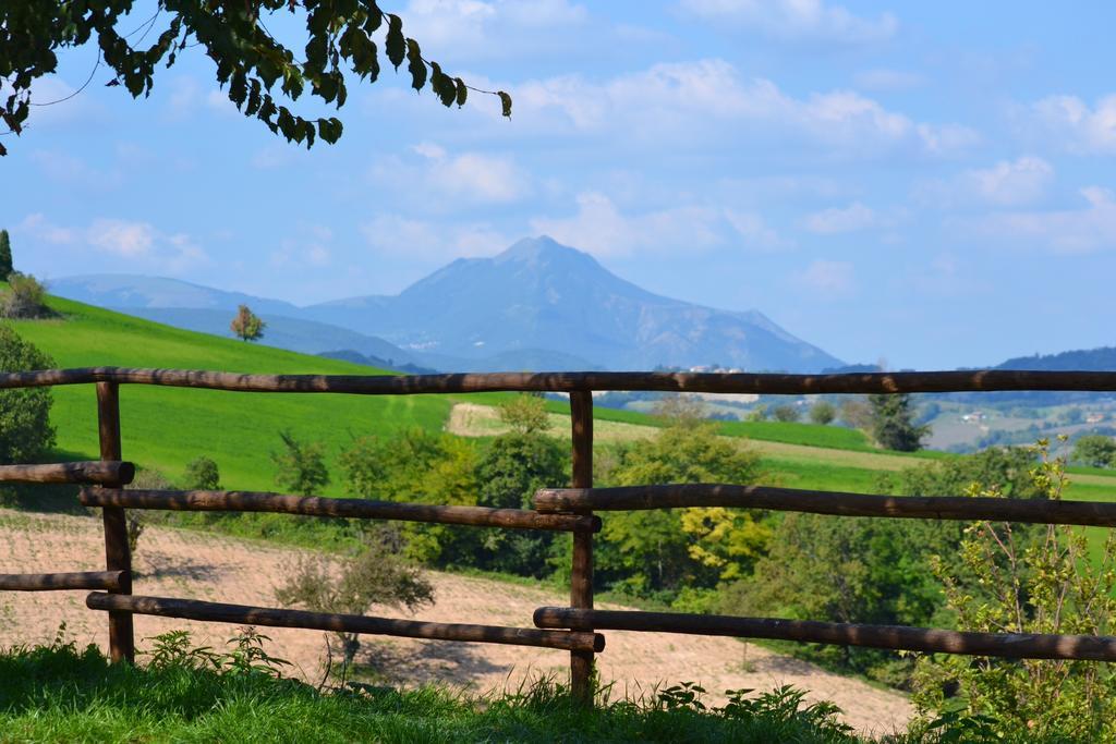 Bed & Breakfast La Cerasa *
