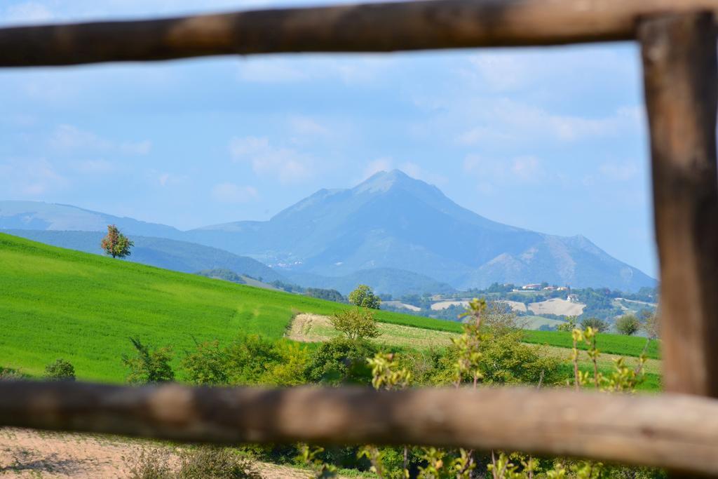 La Cerasa Bed & Breakfast Fabriano
